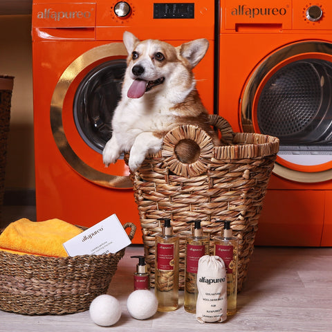 Ekologické aspekty používania parfémov na pranie: Môžu byť vône udržateľné?