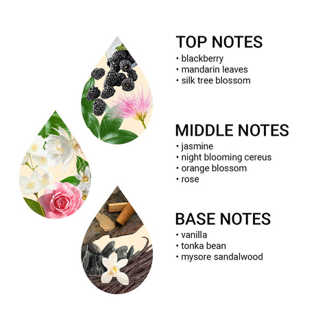 eMotion - Active Soft