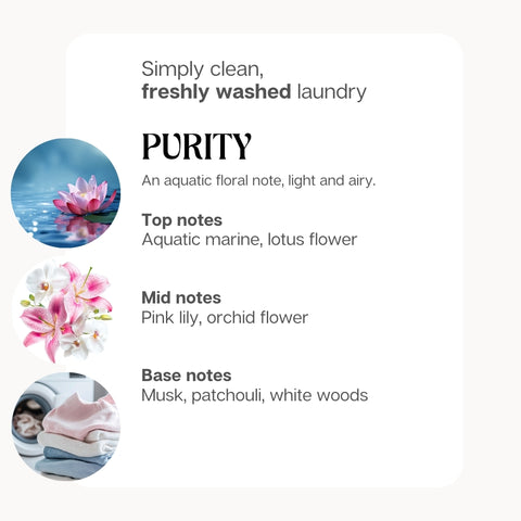 Purity 3+1