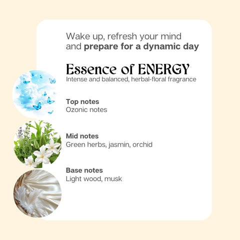 Essence of Energy 3+1